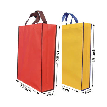 Shoes Bags